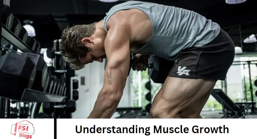 Understanding Muscle Growth