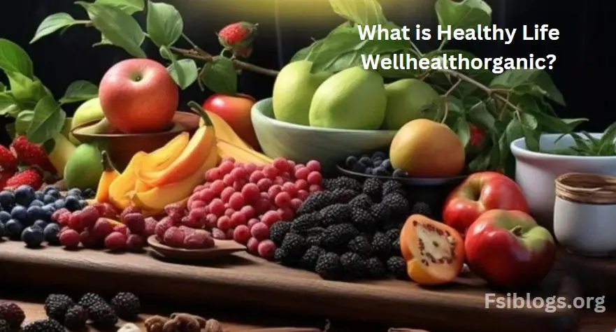 What is Healthy Life Wellhealthorganic